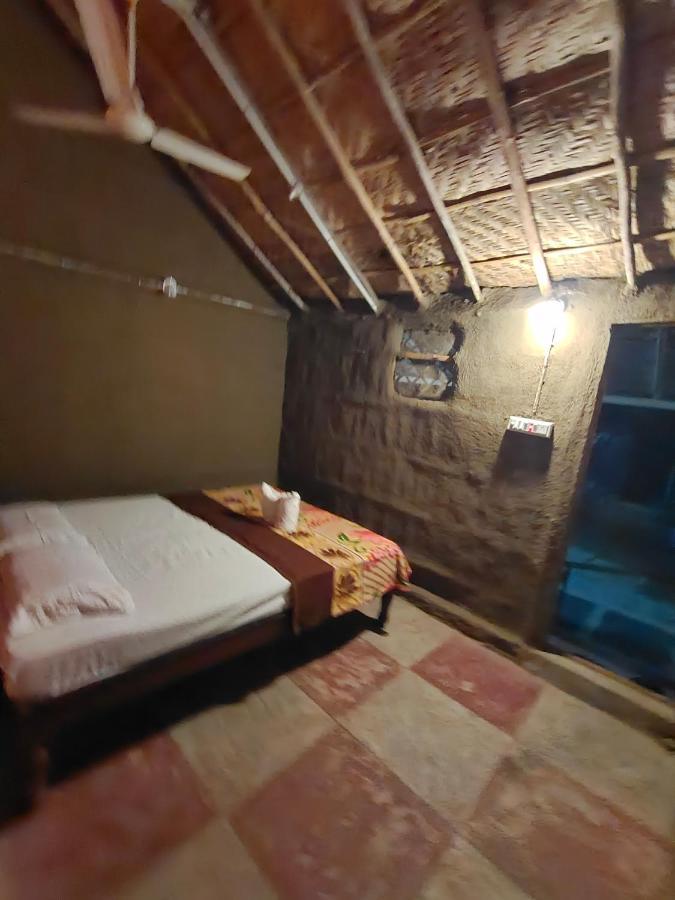 Waterfall Guesthouse Hampi Buitenkant foto