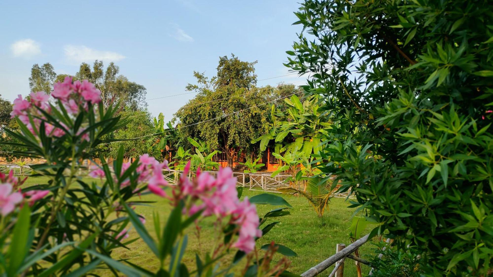 Waterfall Guesthouse Hampi Buitenkant foto