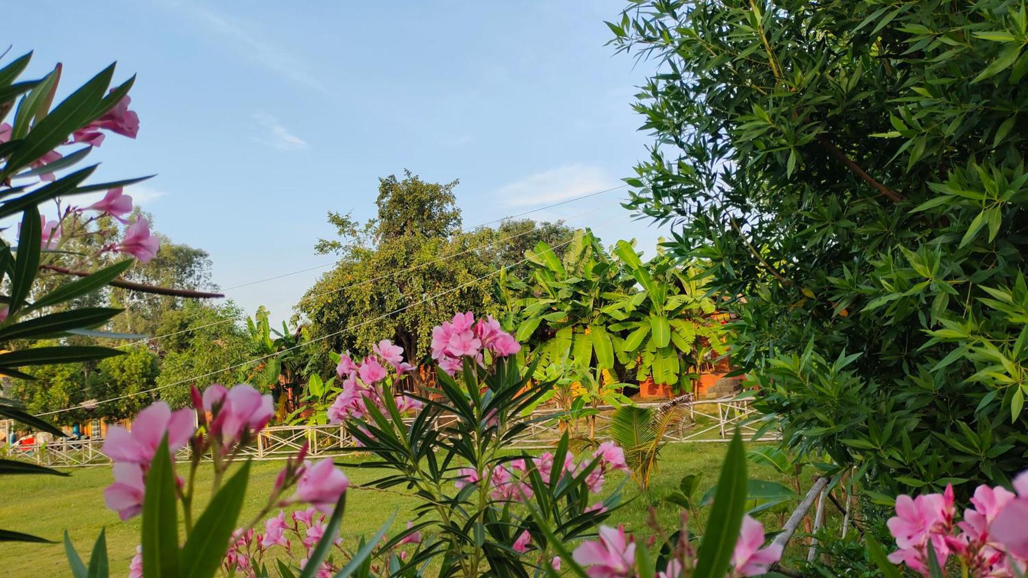 Waterfall Guesthouse Hampi Buitenkant foto