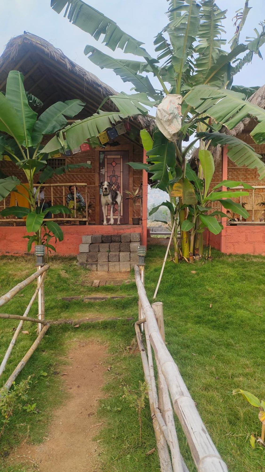 Waterfall Guesthouse Hampi Buitenkant foto